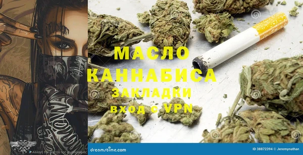 мет Алексин