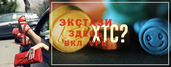 мет Алексин