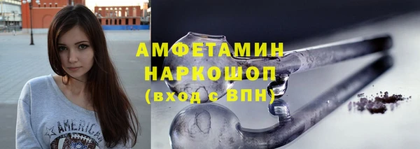 мет Алексин