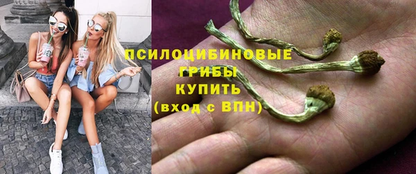 мет Алексин