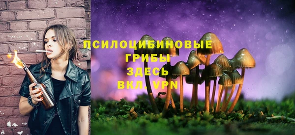 мет Алексин