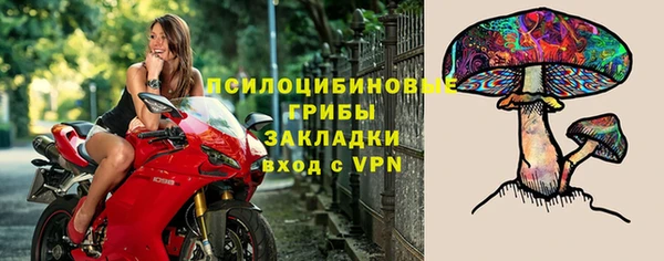 a pvp Алексеевка