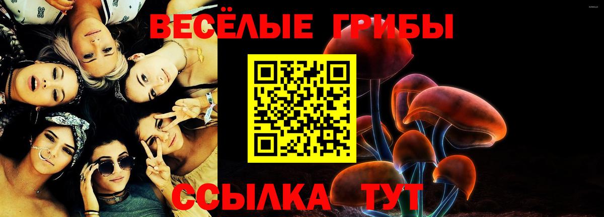 Шадринск  Галлюциногенные грибы Cubensis  Вход с VPN 